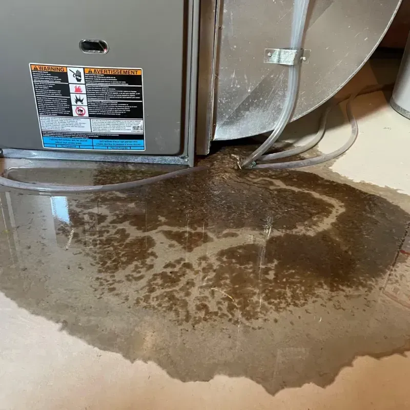 Appliance Leak Cleanup in Boyes Hot Springs, CA